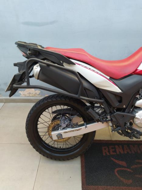 HONDA XRE 300 RALLY ABS, Foto 5