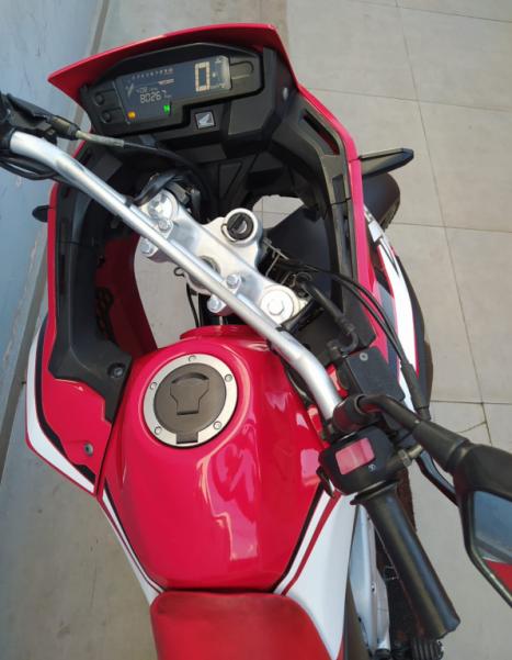 HONDA XRE 300 RALLY ABS, Foto 4