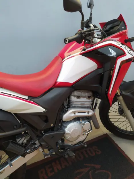 HONDA XRE 300 RALLY ABS, Foto 5