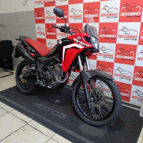 HONDA XRE 300 RALLY ABS, Foto 3