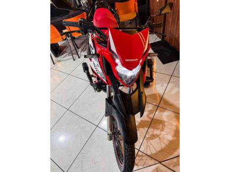 HONDA XRE 300 RALLY ABS, Foto 4