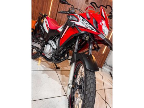 HONDA XRE 300 RALLY ABS, Foto 6