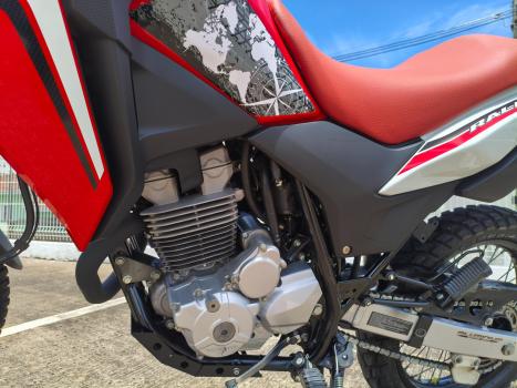 HONDA XRE 300 RALLY ABS, Foto 4