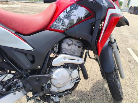 HONDA XRE 300 RALLY ABS, Foto 8