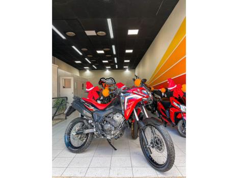 HONDA XRE 300 Sahara RALLYE, Foto 4