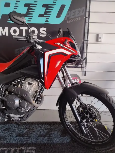 HONDA XRE 300 Sahara RALLYE, Foto 3