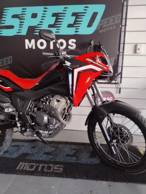 HONDA XRE 300 Sahara RALLYE, Foto 6