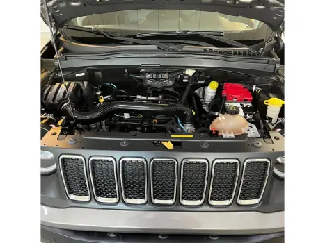 JEEP Renegade 1.8 16V 4P FLEX LONGITUDE AUTOM�TICO, Foto 13
