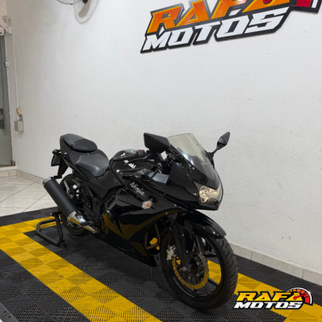 KAWASAKI Ninja 250 R, Foto 3 KAWASAKI Ninja 250 R, Foto 3