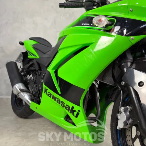 KAWASAKI Ninja 250 R, Foto 6