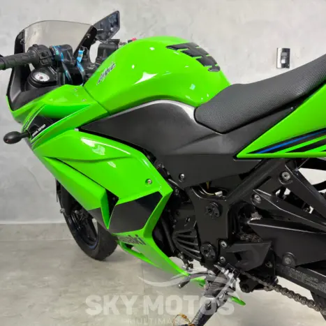 KAWASAKI Ninja 250 R, Foto 18