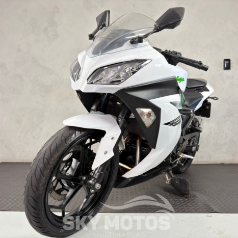 KAWASAKI Ninja 300 , Foto 15