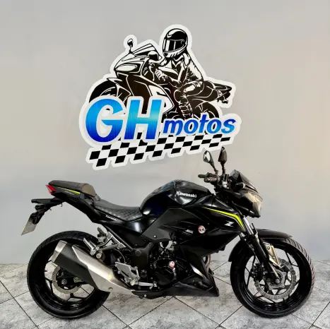 KAWASAKI Z 300 ABS, Foto 1
