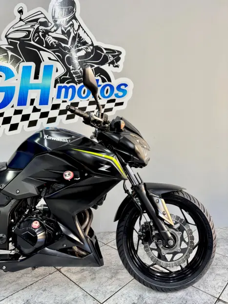 KAWASAKI Z 300 ABS, Foto 2