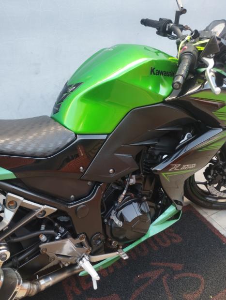 KAWASAKI Z 300 ABS, Foto 9