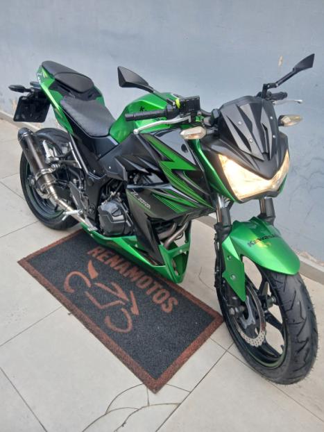KAWASAKI Z 300 ABS, Foto 8