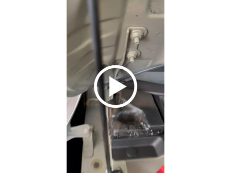 RENAULT Kwid 1.0 12V 4P SCE FLEX OUTSIDER, Foto 11