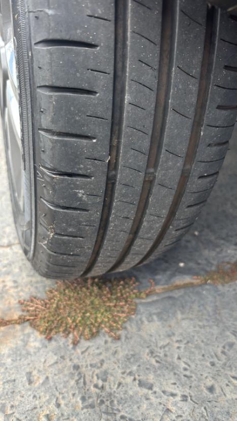 RENAULT Kwid 1.0 12V 4P SCE FLEX INTENSE, Foto 9