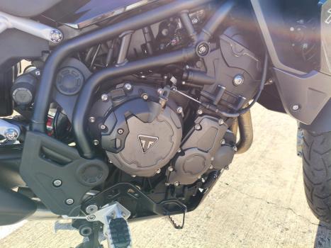 TRIUMPH Tiger 900 GT Pro , Foto 11