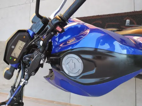 YAMAHA FZ 25 250 Fazer Flex , Foto 2