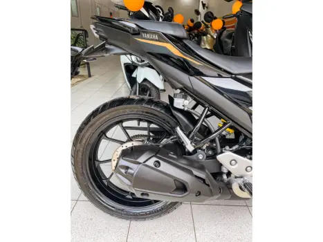 YAMAHA FZ 25 250 Fazer Flex , Foto 8