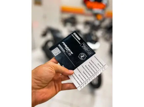 YAMAHA FZ 25 250 Fazer Flex , Foto 7
