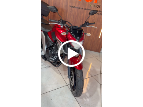 YAMAHA FZ 25 250 Fazer Flex , Foto 13