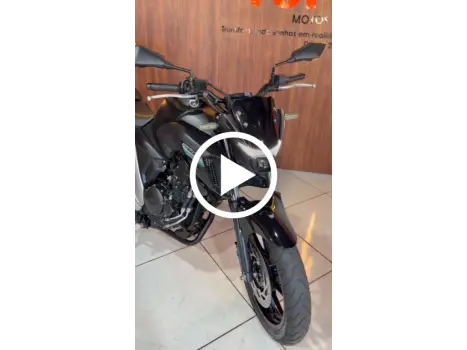 YAMAHA FZ 25 250 Fazer Flex , Foto 12