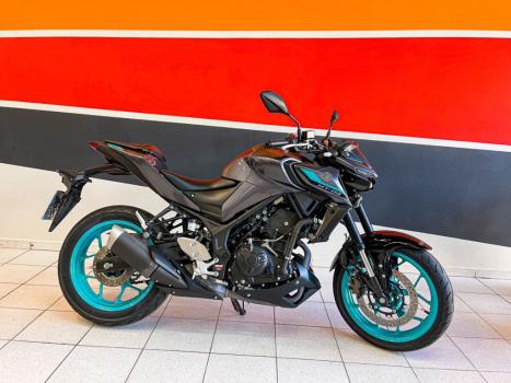 YAMAHA MT-03 300 ABS, Foto 1