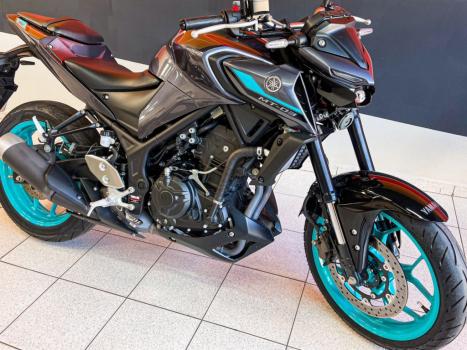 YAMAHA MT-03 300 ABS, Foto 3