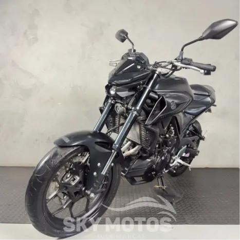 YAMAHA MT-03 300 ABS, Foto 13