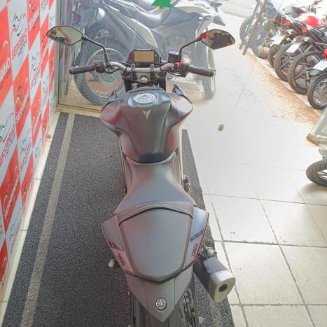 YAMAHA MT-03 300 ABS, Foto 5