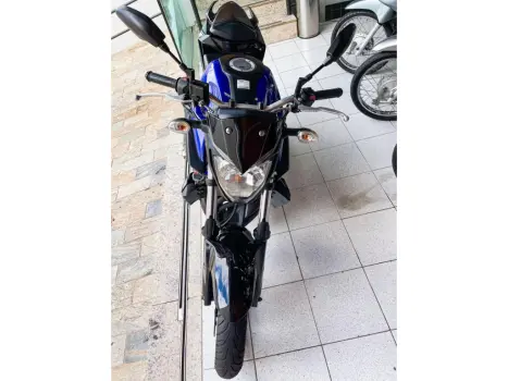 YAMAHA MT-03 300 ABS, Foto 4