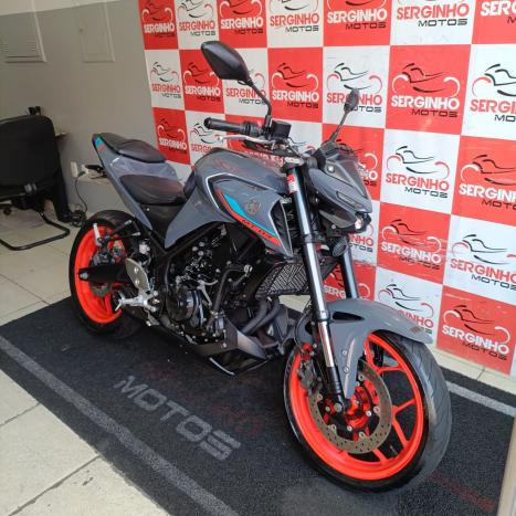 YAMAHA MT-03 300 ABS, Foto 4