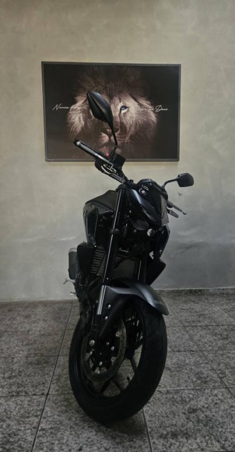 YAMAHA MT-03 300 ABS, Foto 1