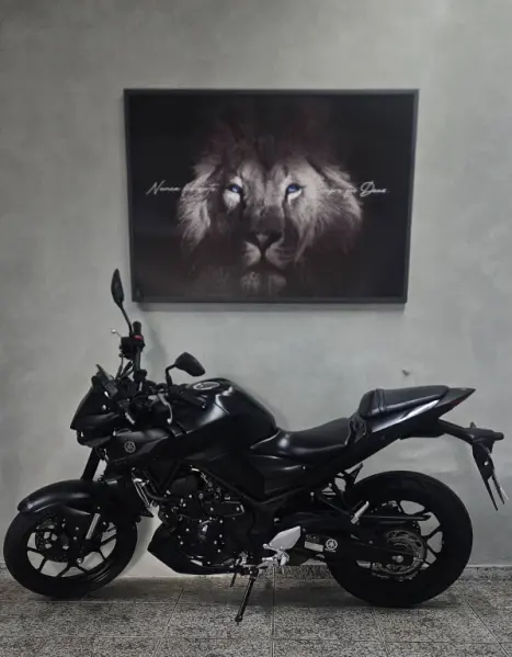 YAMAHA MT-03 300 ABS, Foto 5