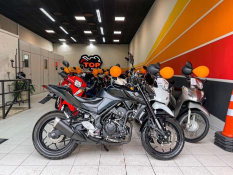 YAMAHA MT-03 300 ABS, Foto 1