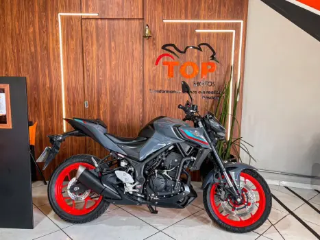 YAMAHA MT-03 300 ABS, Foto 1