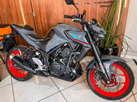 YAMAHA MT-03 300 ABS, Foto 3