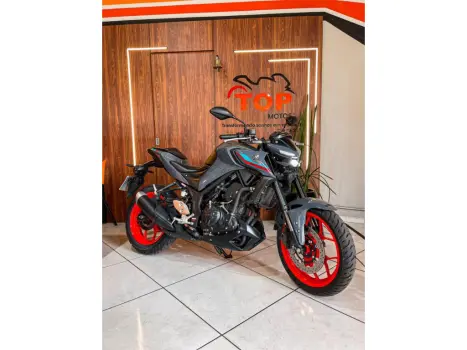 YAMAHA MT-03 300 ABS, Foto 5