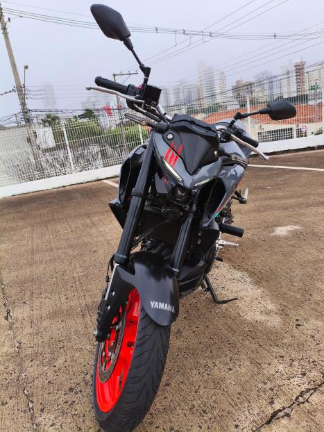 YAMAHA MT-03 300 ABS, Foto 6