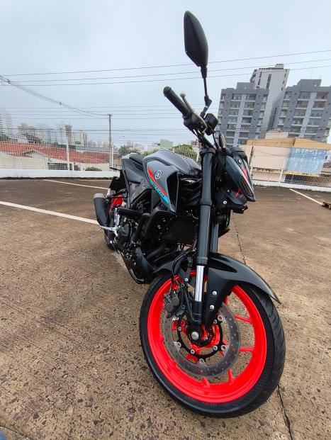 YAMAHA MT-03 300 ABS, Foto 7