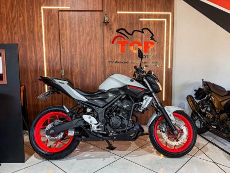 YAMAHA MT-03 300 ABS, Foto 1