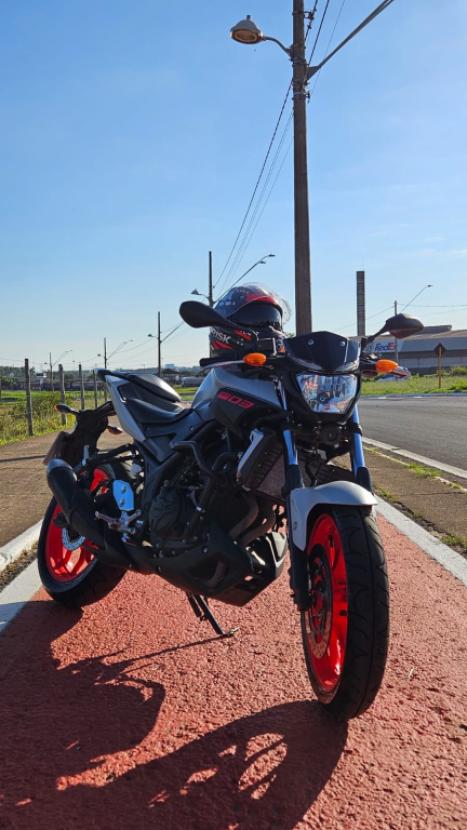 YAMAHA MT-03 300 ABS, Foto 4