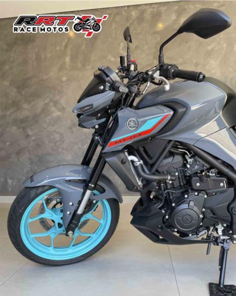 YAMAHA MT-03 300 ABS, Foto 3