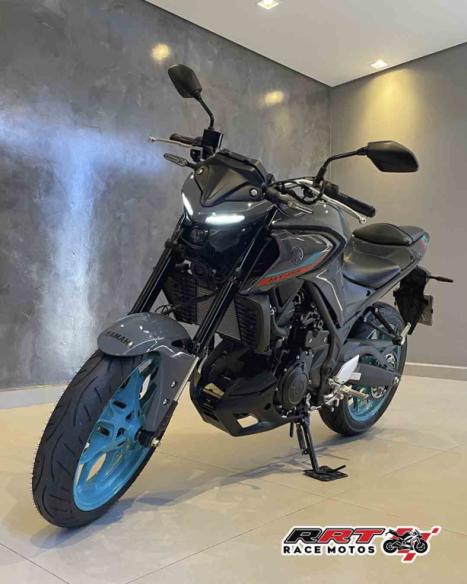YAMAHA MT-03 300 ABS, Foto 5
