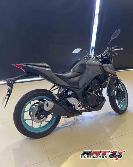 YAMAHA MT-03 300 ABS, Foto 6