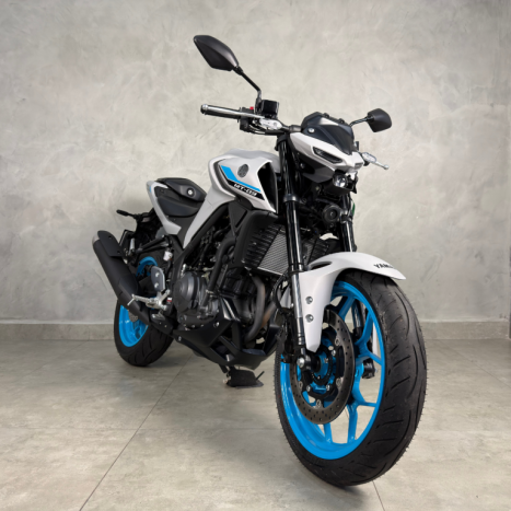YAMAHA MT-03 300 ABS, Foto 4
