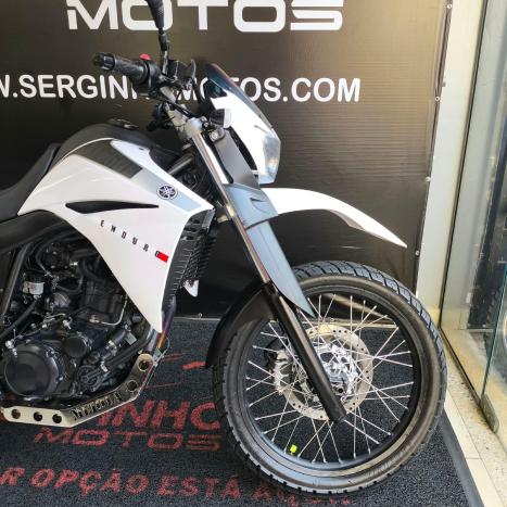 YAMAHA XT 660 R , Foto 3