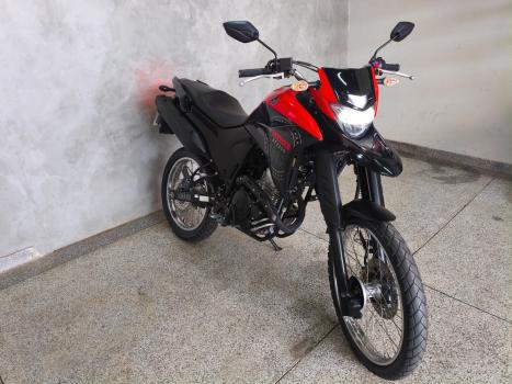 YAMAHA XTZ 250 LANDER, Foto 6